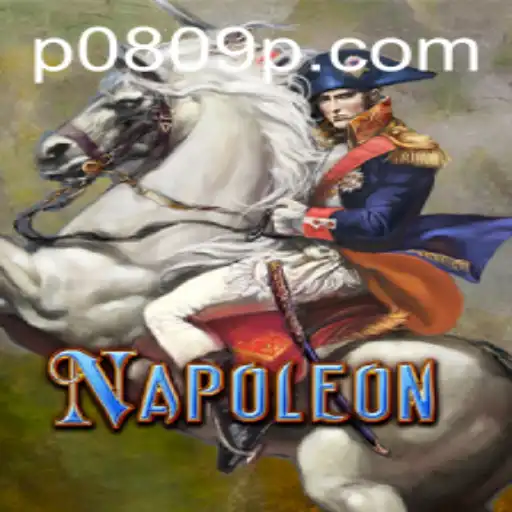 Exploring the Strategies of Napoleon Card Game